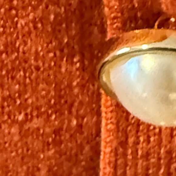 Orange Leopard Print Turtleneck Sweater with peal buttons on sleeves - Picture 4 of 4